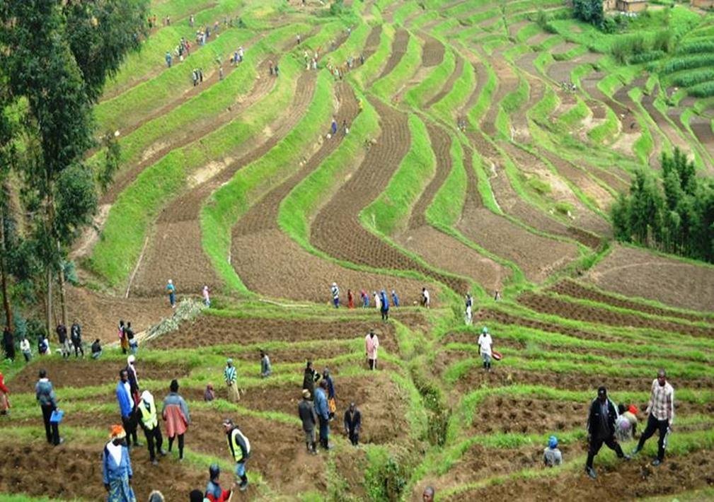 Rwanda Places Agriculture at the Centre of Vision 2050 Economic Transformation