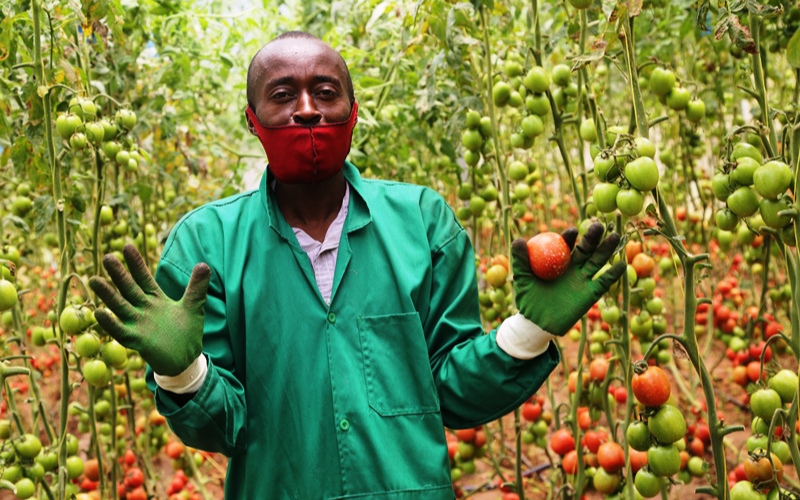 Rwanda Prioritizes Climate Resilient Agriculture to Protect Food Security